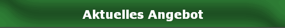 Aktuelles Angebot