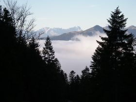 IMGP2552.JPG
